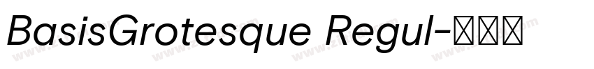 BasisGrotesque Regul字体转换 BasisGrotesque Regul字体转换